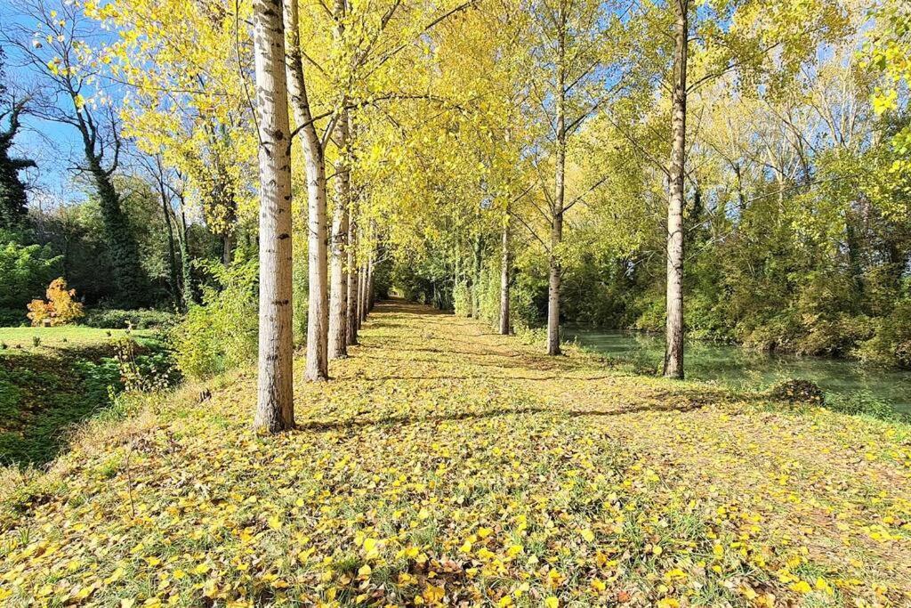T-2 Ouest 47m2 La Maison Au Bord Du Canal Du Midi Apartment