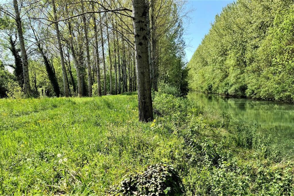 Apartment T-2 Ouest 47m2 La Maison Au Bord Du Canal Du Midi Sainte-Colombe-en-Bruilhois