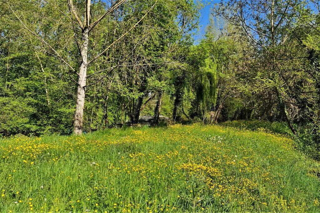 T-2 Ouest 47m2 La Maison Au Bord Du Canal Du Midi Sainte-Colombe-en-Bruilhois